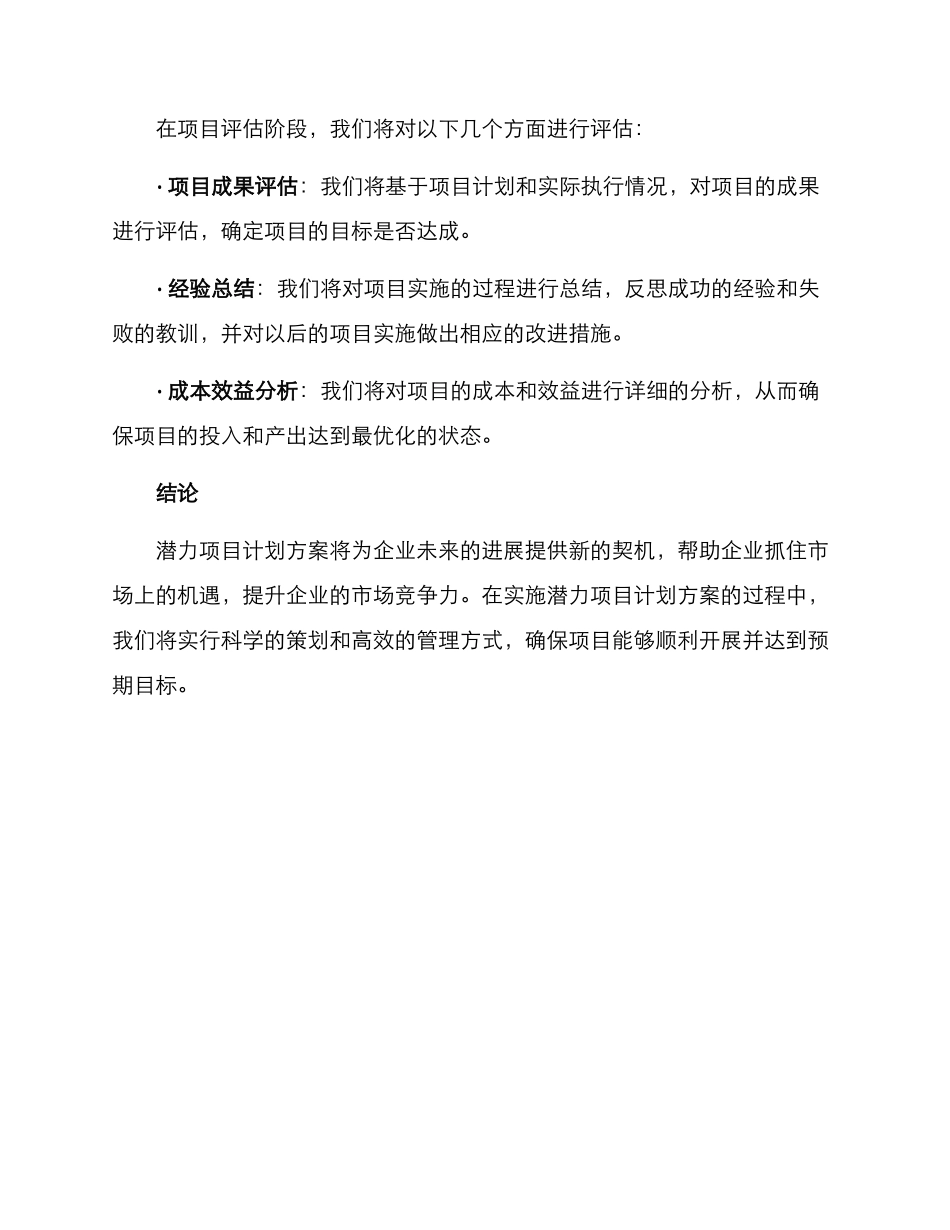 潜力项目计划方案_第3页