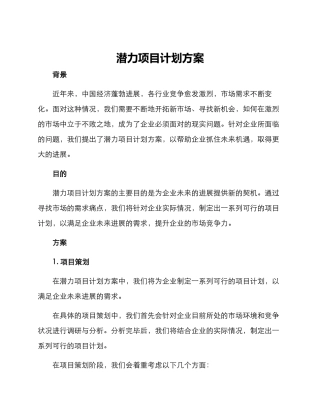 潜力项目计划方案