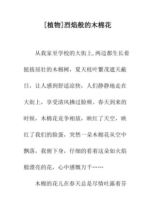 烈焰般的木棉花