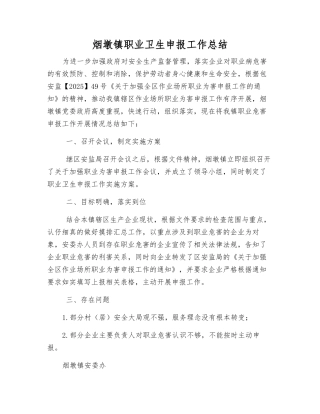 烟墩镇职业卫生申报工作总结