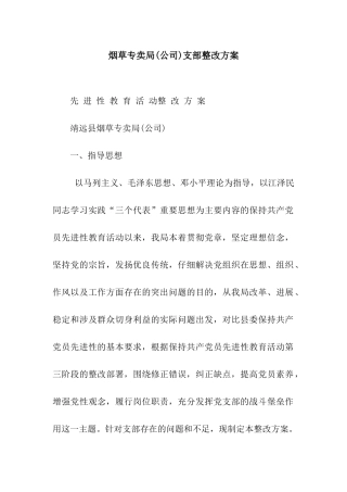 烟草专卖局支部整改方案