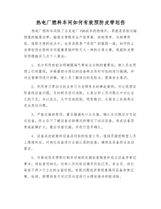 热电厂燃料车间如何有效预防皮带划伤