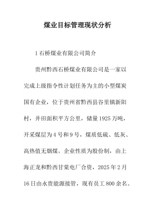 煤业目标管理现状分析