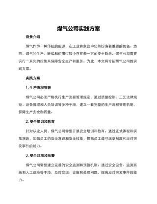 煤气公司实践方案