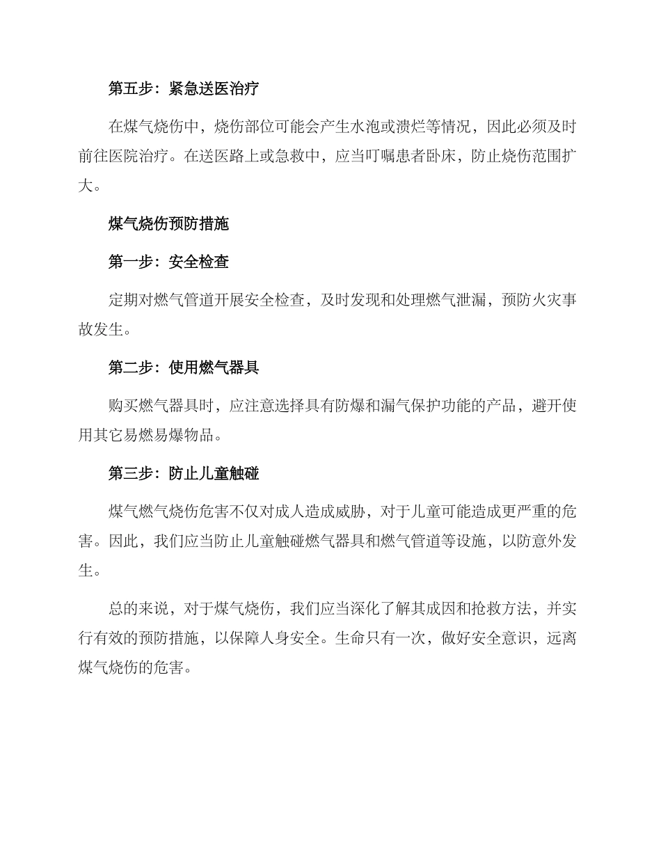煤气烧伤救助方案_第2页
