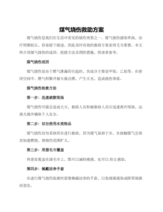 煤气烧伤救助方案