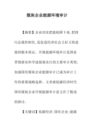 煤炭企业能源环境审计