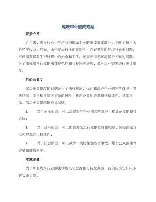 煤炭审计整改方案