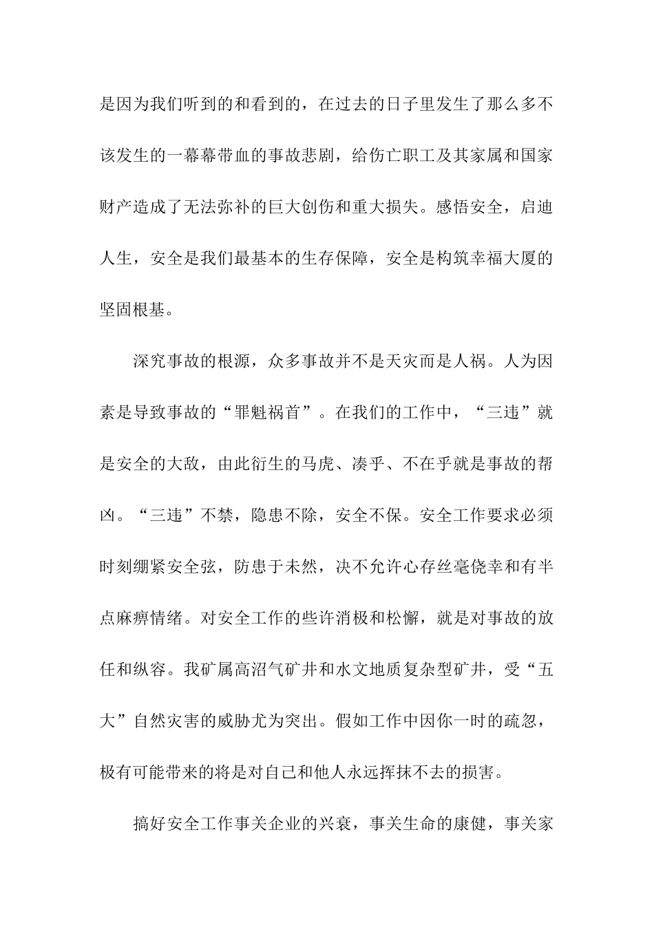 煤矿安全决心书_第2页