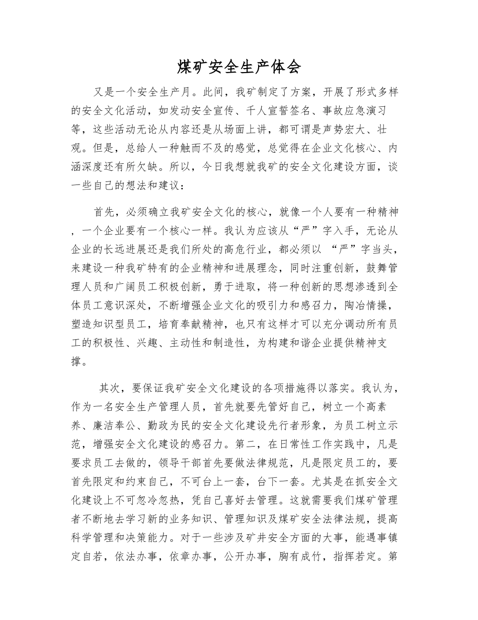 煤矿安全生产体会_第1页