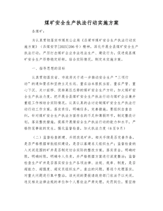 煤矿安全生产执法行动实施方案