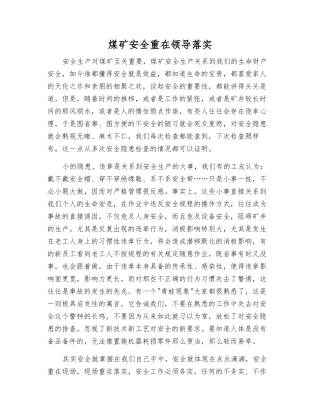 煤矿安全重在领导落实