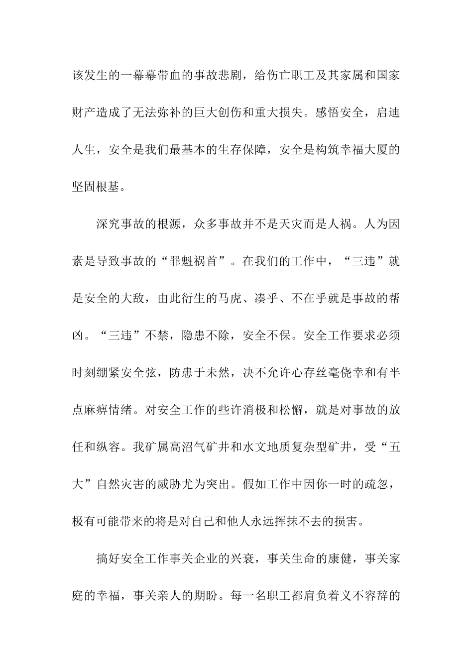 煤矿百日安全决心书_第2页