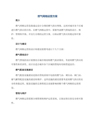 燃气网格运营方案