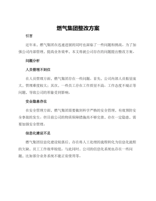 燃气集团整改方案