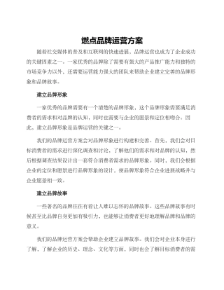 燃点品牌运营方案