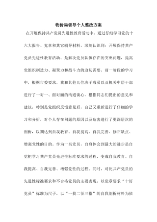 物价局领导个人整改方案