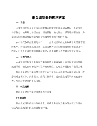 牵头编制业务规划方案