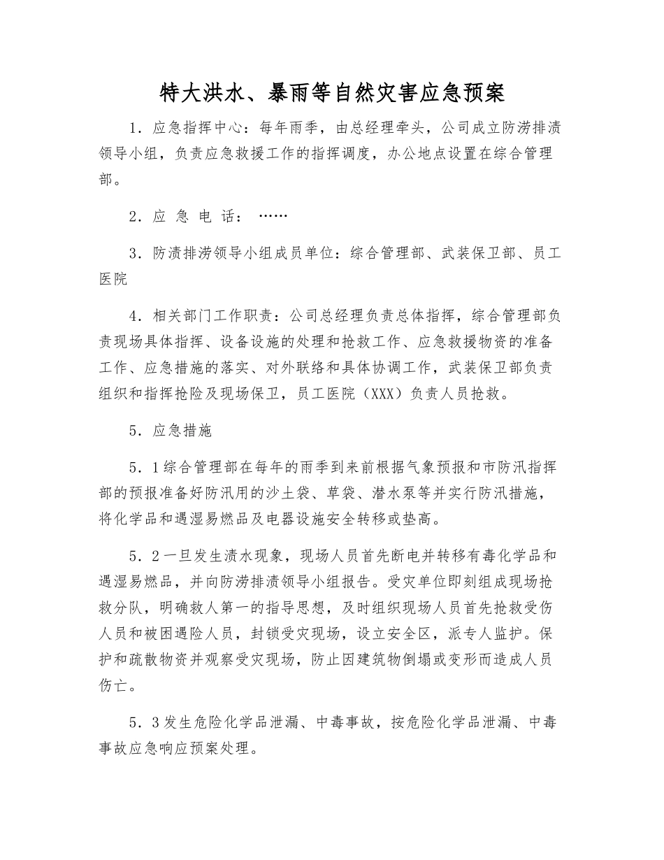 特大洪水、暴雨等自然灾害应急预案_第1页
