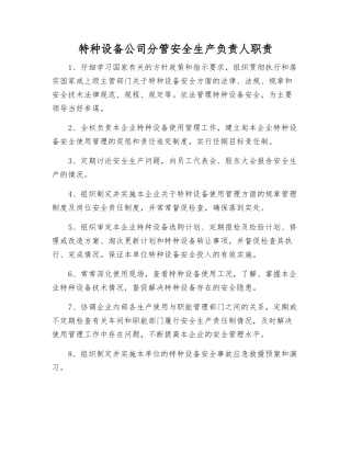 特种设备公司分管安全生产负责人职责