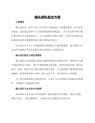 猎头团队配合方案
