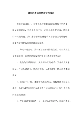 猪年给老师的感恩节祝福语