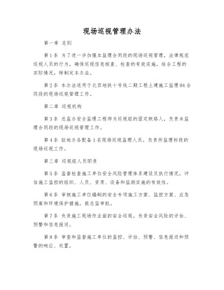 现场巡视管理办法