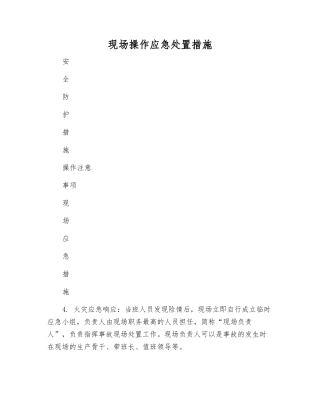 现场操作应急处置措施