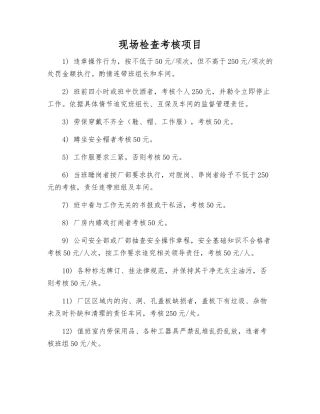 现场检查考核项目