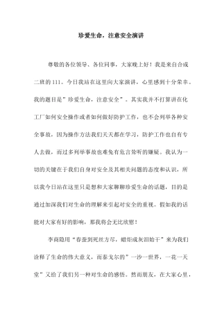 珍爱生命-注意安全演讲