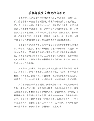 珍视煤炭安全构建和谐社会