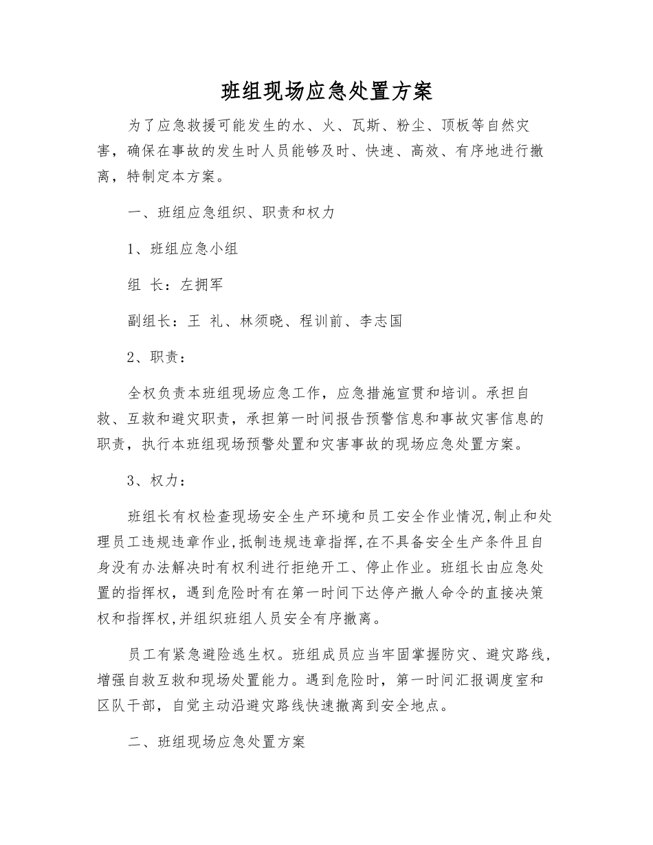 班组现场应急处置方案_第1页