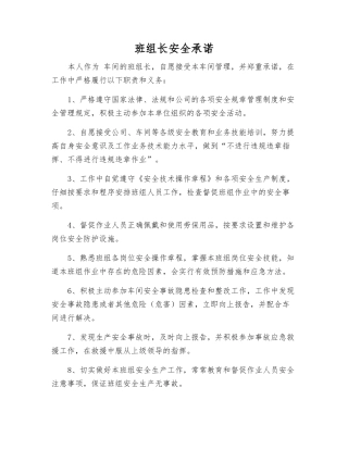 班组长安全承诺