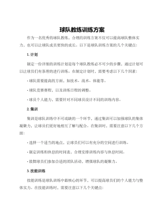 球队教练训练方案