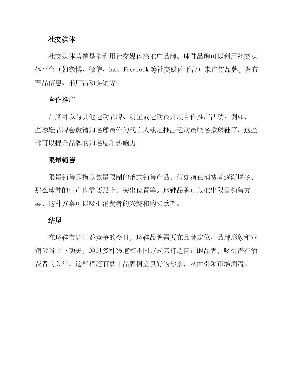 球鞋营销方案_第2页