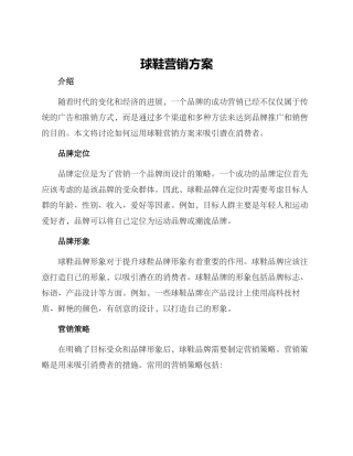 球鞋营销方案