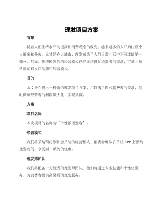 理发项目方案