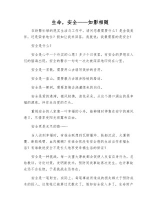 生命-安全——如影相随