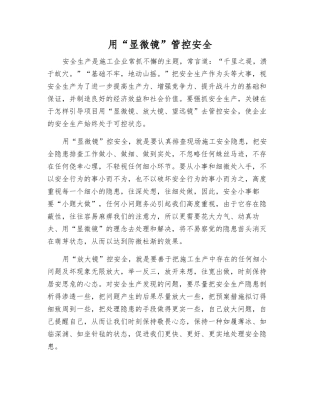 用“显微镜”管控安全