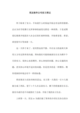 用友软件公司实习周记