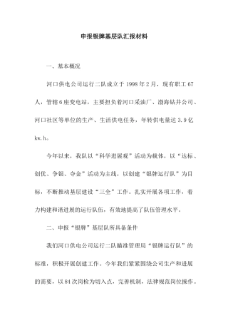 申报银牌基层队汇报材料