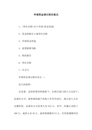 申请资金请示报告格式