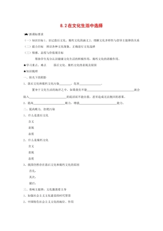 高中政治：4.8.2 在文化生活中选择 学案（新人教版必修3）