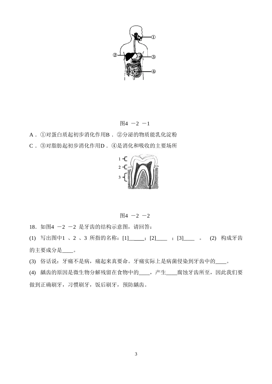 九年级科学第16周校本作业_第3页