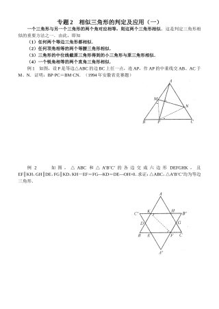 专题2    相似三角形的判定及应用测试题