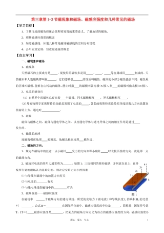 高中物理 第三章第1-3节磁现象和磁场、磁感应强度和几种常见的磁场 新人教版选修3