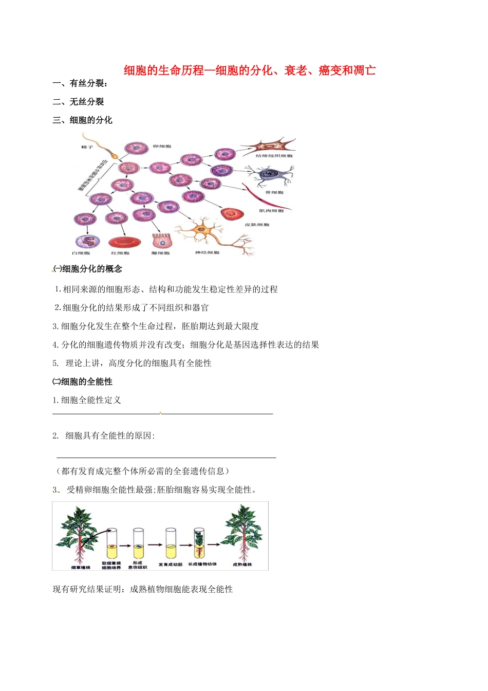 高中物理 细胞的分化、衰老、癌变和凋亡素材 新人教版必修1-新人教版高一必修1物理素材_第1页