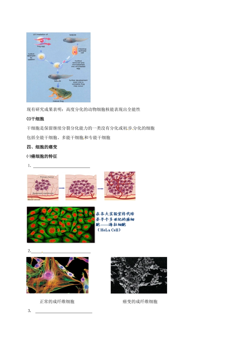 高中物理 细胞的分化、衰老、癌变和凋亡素材 新人教版必修1-新人教版高一必修1物理素材_第2页