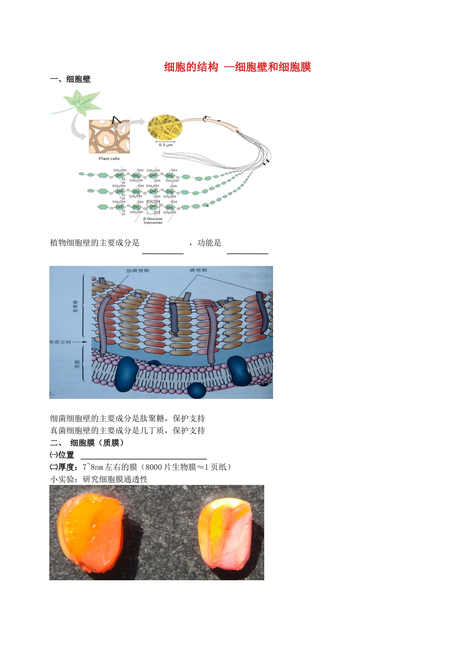 高中物理 细胞的结构（细胞壁和细胞膜）素材 新人教版必修1-新人教版高一必修1物理素材_第1页