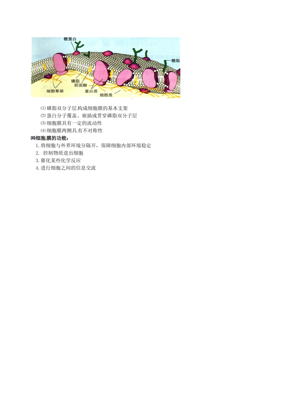 高中物理 细胞的结构（细胞壁和细胞膜）素材 新人教版必修1-新人教版高一必修1物理素材_第3页